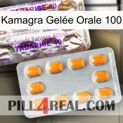 Kamagra Gelée Orale 100 new12